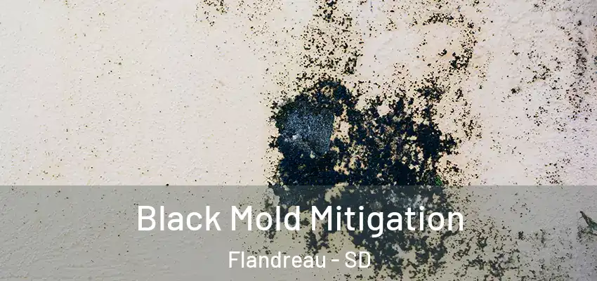  Black Mold Mitigation Flandreau - SD