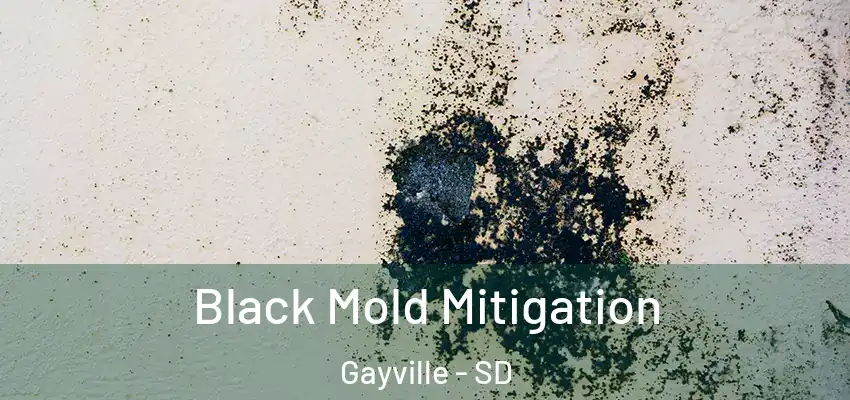 Black Mold Mitigation Gayville - SD