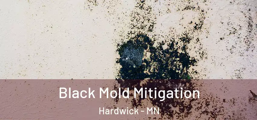 Black Mold Mitigation Hardwick - MN