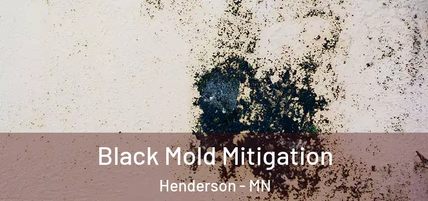  Black Mold Mitigation Henderson - MN