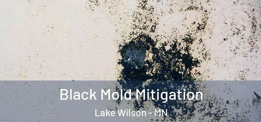  Black Mold Mitigation Lake Wilson - MN