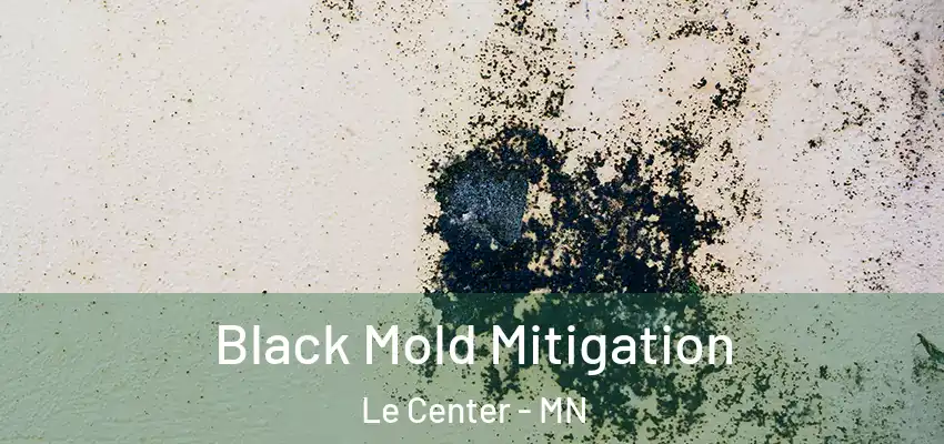  Black Mold Mitigation Le Center - MN