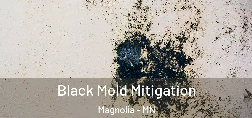  Black Mold Mitigation Magnolia - MN