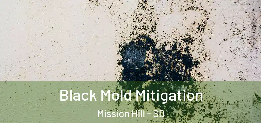  Black Mold Mitigation Mission Hill - SD