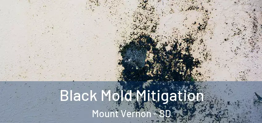  Black Mold Mitigation Mount Vernon - SD