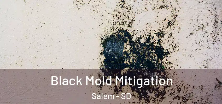  Black Mold Mitigation Salem - SD