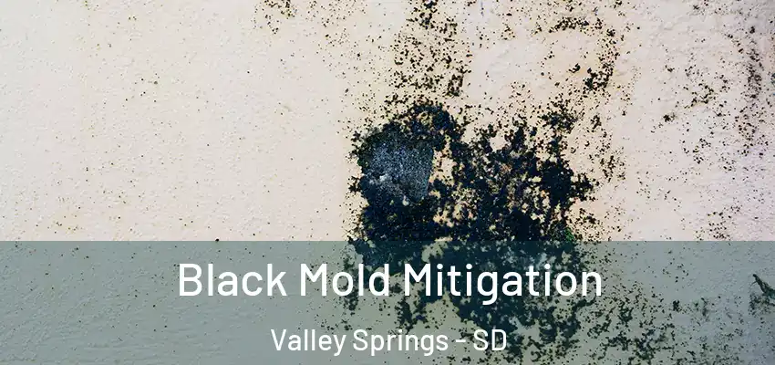  Black Mold Mitigation Valley Springs - SD