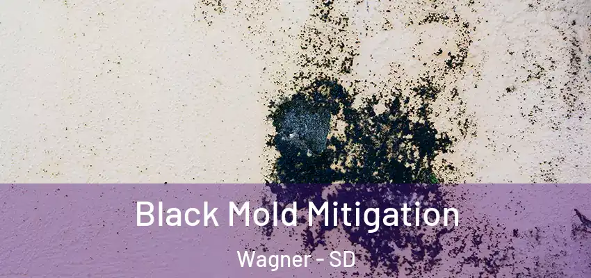  Black Mold Mitigation Wagner - SD