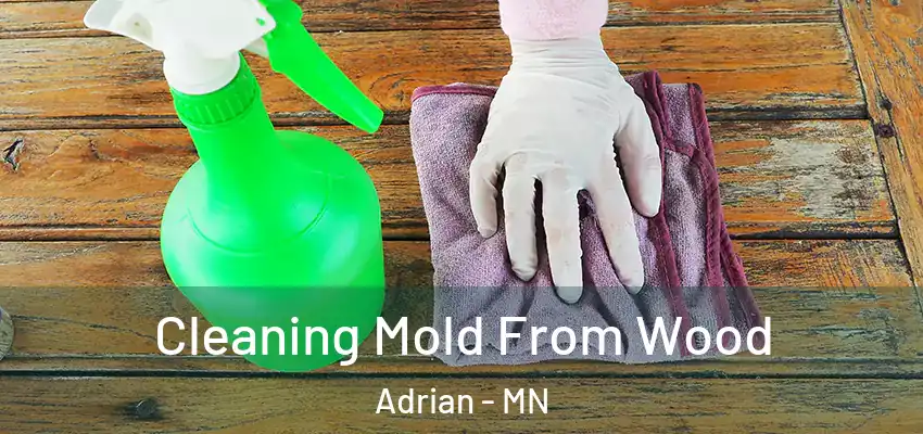  Cleaning Mold From Wood Adrian - MN
