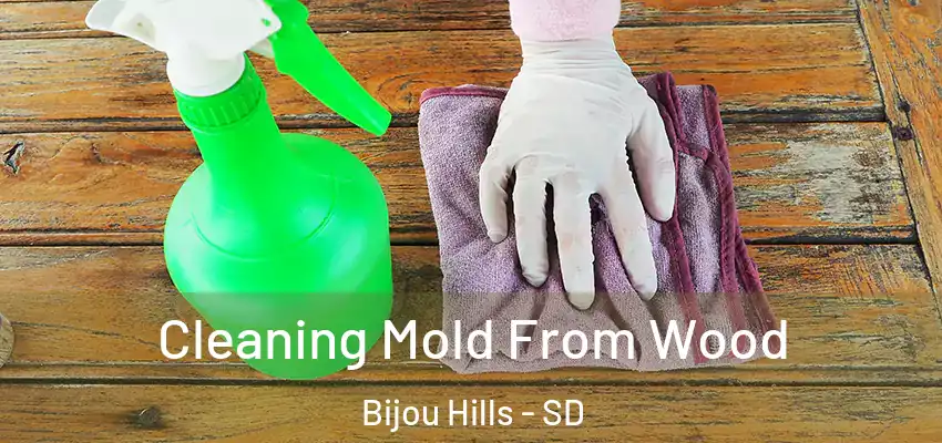  Cleaning Mold From Wood Bijou Hills - SD