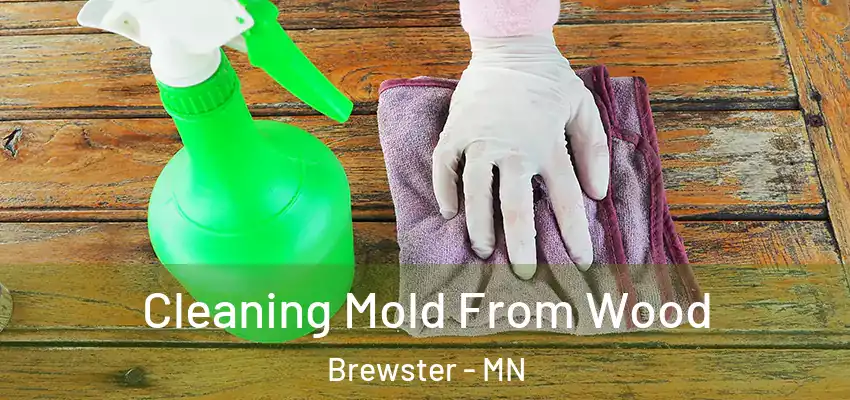 Cleaning Mold From Wood Brewster - MN
