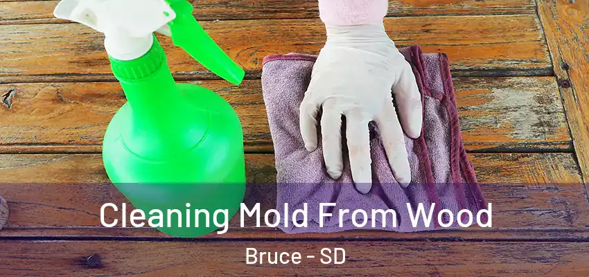 Cleaning Mold From Wood Bruce - SD