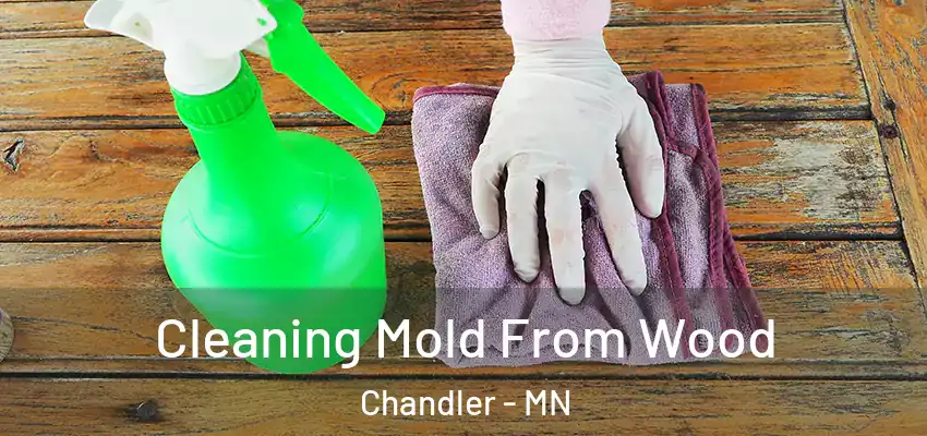  Cleaning Mold From Wood Chandler - MN