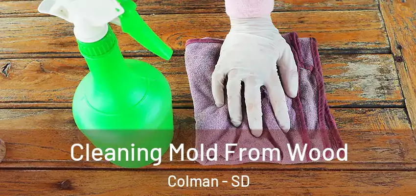  Cleaning Mold From Wood Colman - SD