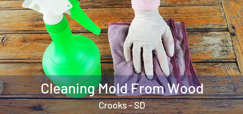 Cleaning Mold From Wood Crooks - SD