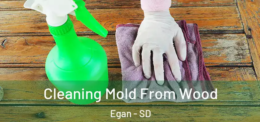  Cleaning Mold From Wood Egan - SD