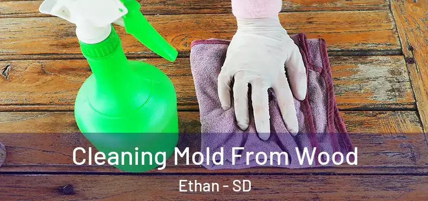  Cleaning Mold From Wood Ethan - SD