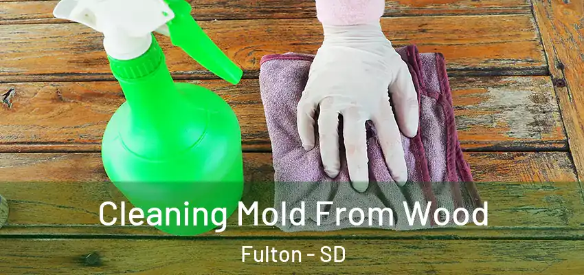  Cleaning Mold From Wood Fulton - SD