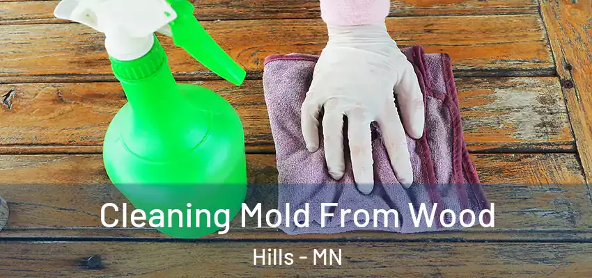 Cleaning Mold From Wood Hills - MN