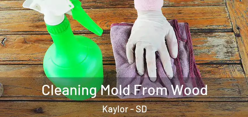  Cleaning Mold From Wood Kaylor - SD