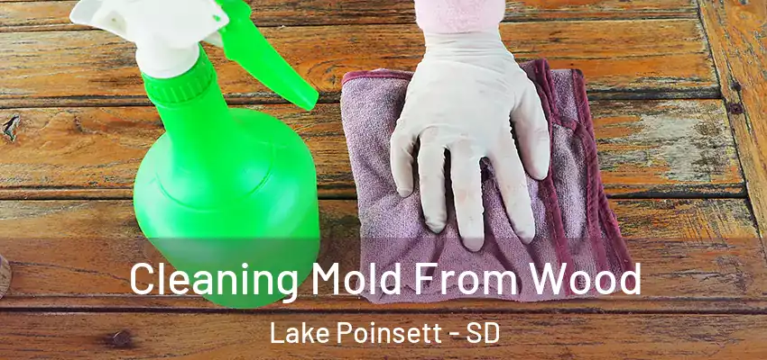 Cleaning Mold From Wood Lake Poinsett - SD