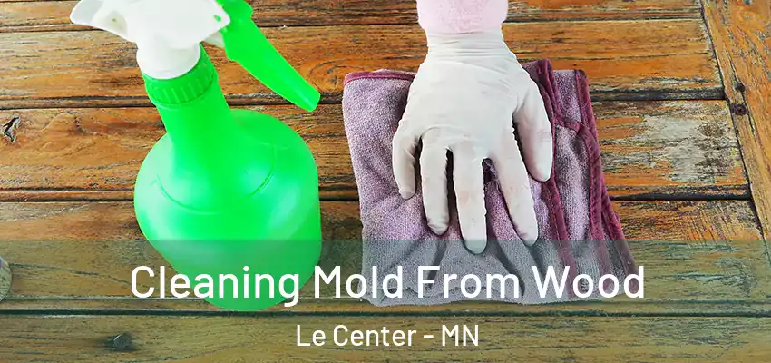 Cleaning Mold From Wood Le Center - MN