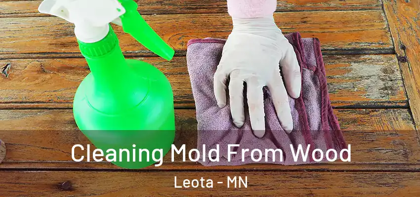 Cleaning Mold From Wood Leota - MN