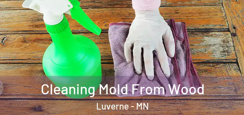  Cleaning Mold From Wood Luverne - MN