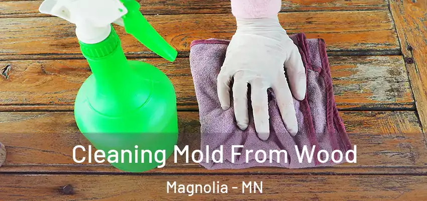 Cleaning Mold From Wood Magnolia - MN