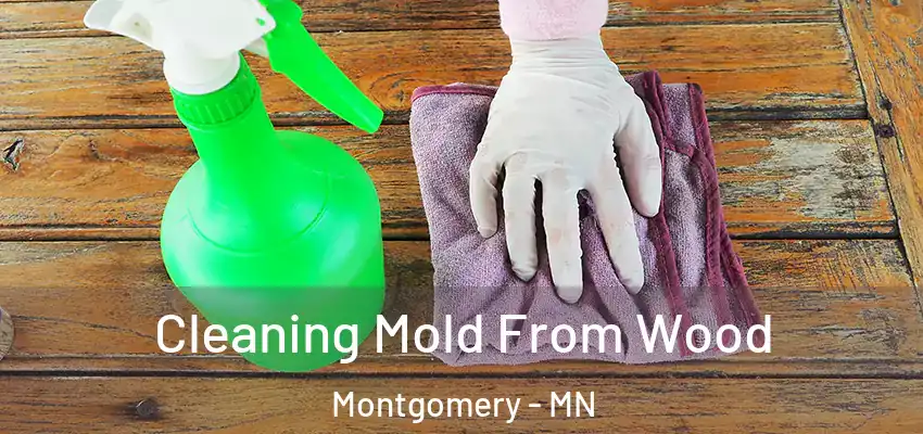 Cleaning Mold From Wood Montgomery - MN