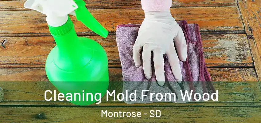  Cleaning Mold From Wood Montrose - SD