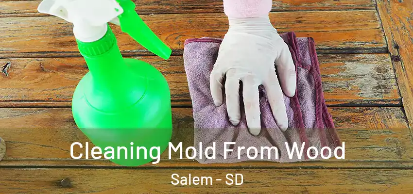  Cleaning Mold From Wood Salem - SD