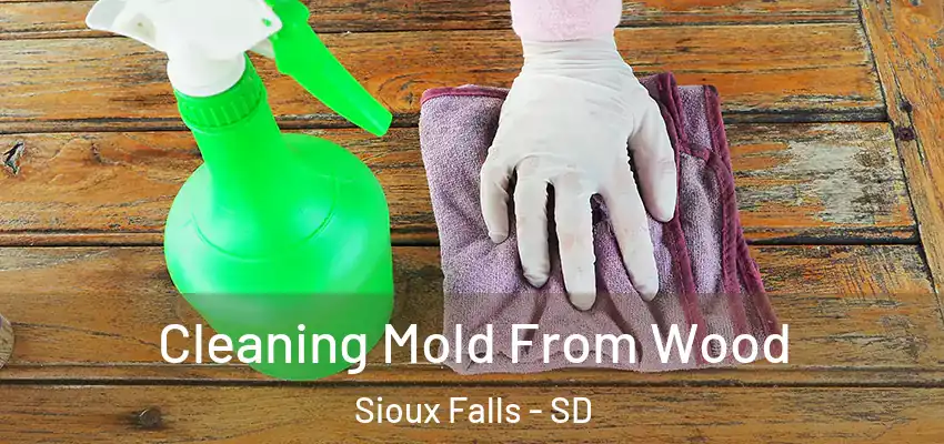  Cleaning Mold From Wood Sioux Falls - SD