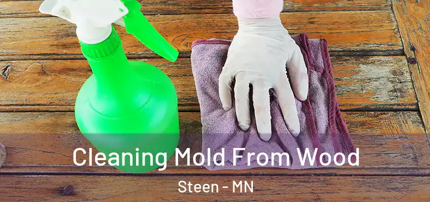 Cleaning Mold From Wood Steen - MN