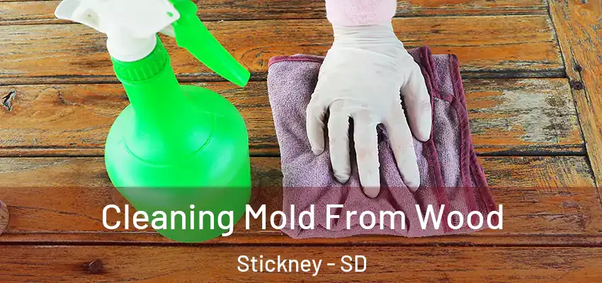  Cleaning Mold From Wood Stickney - SD