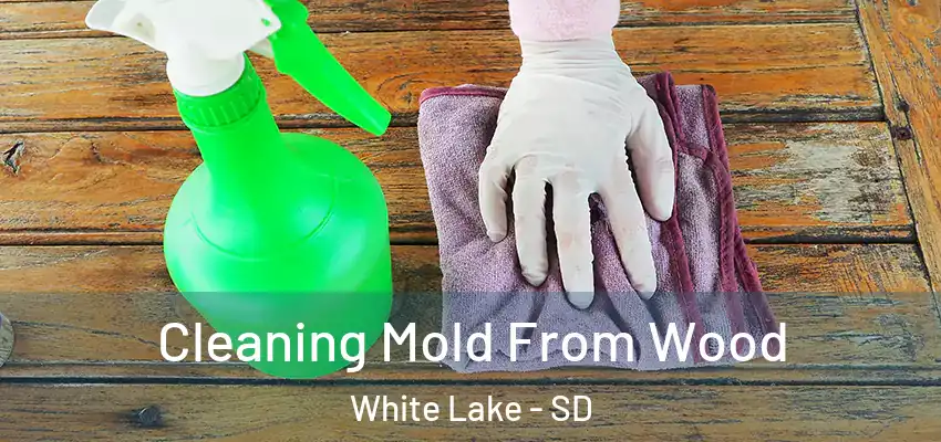  Cleaning Mold From Wood White Lake - SD