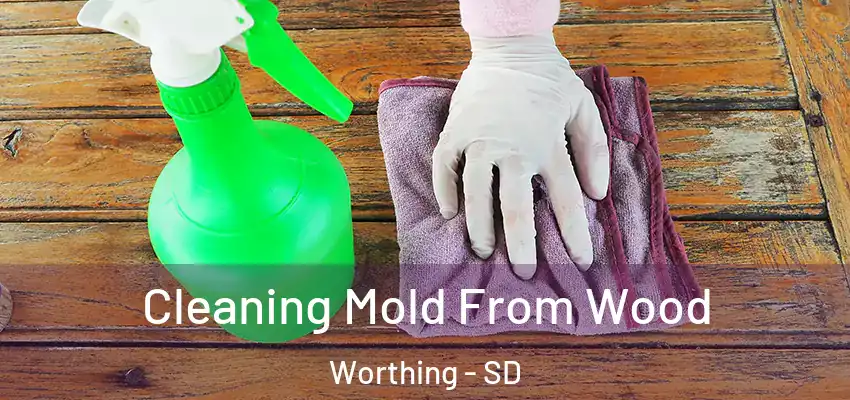  Cleaning Mold From Wood Worthing - SD