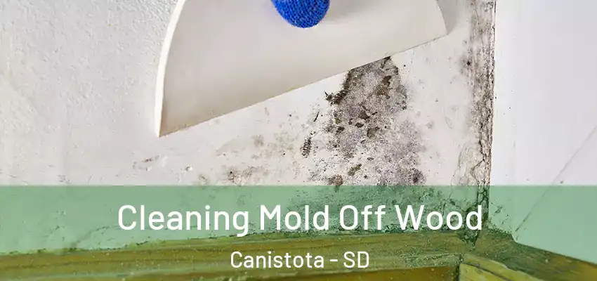  Cleaning Mold Off Wood Canistota - SD