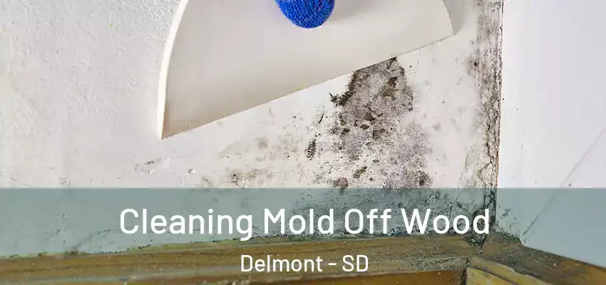  Cleaning Mold Off Wood Delmont - SD