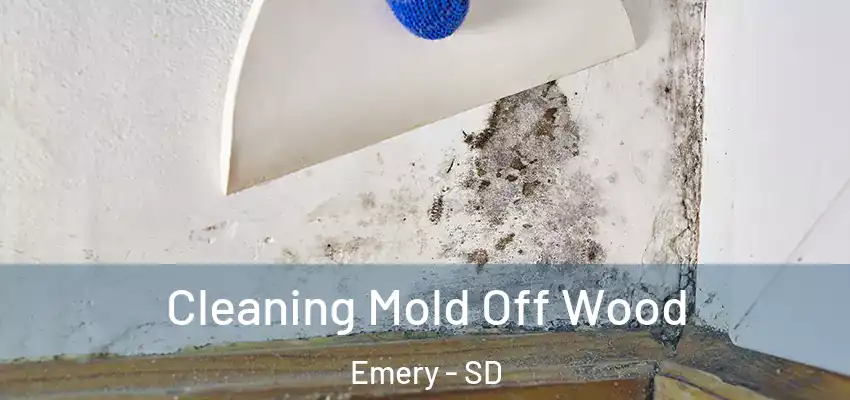  Cleaning Mold Off Wood Emery - SD