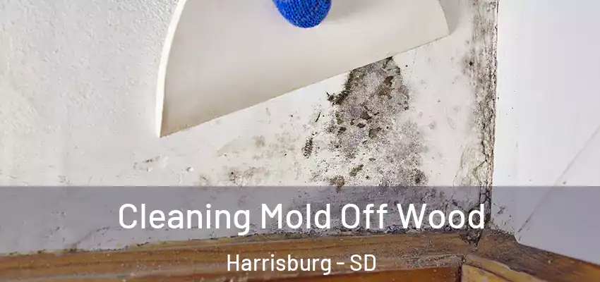 Cleaning Mold Off Wood Harrisburg - SD