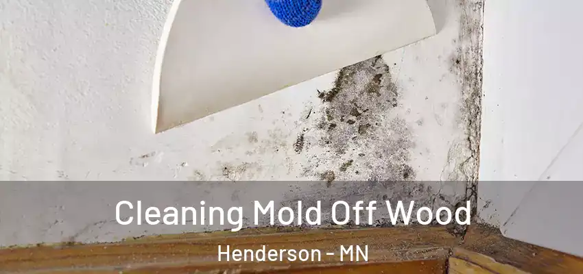 Cleaning Mold Off Wood Henderson - MN