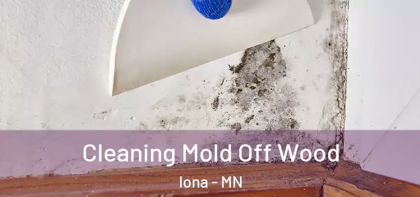 Cleaning Mold Off Wood Iona - MN