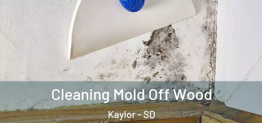  Cleaning Mold Off Wood Kaylor - SD