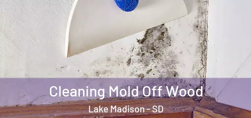 Cleaning Mold Off Wood Lake Madison - SD