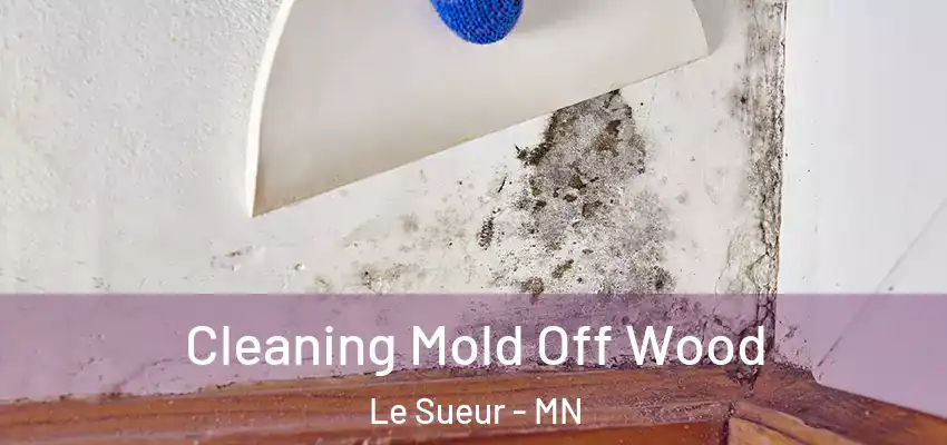 Cleaning Mold Off Wood Le Sueur - MN