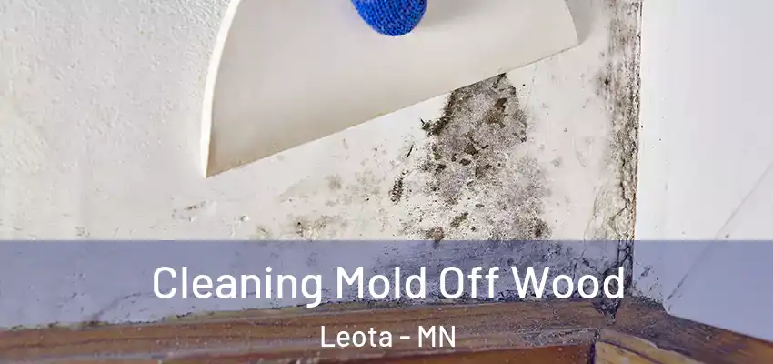 Cleaning Mold Off Wood Leota - MN