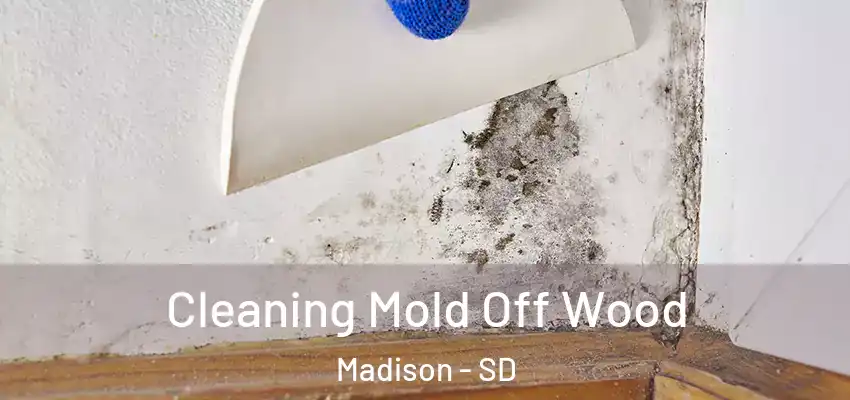  Cleaning Mold Off Wood Madison - SD
