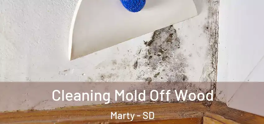  Cleaning Mold Off Wood Marty - SD