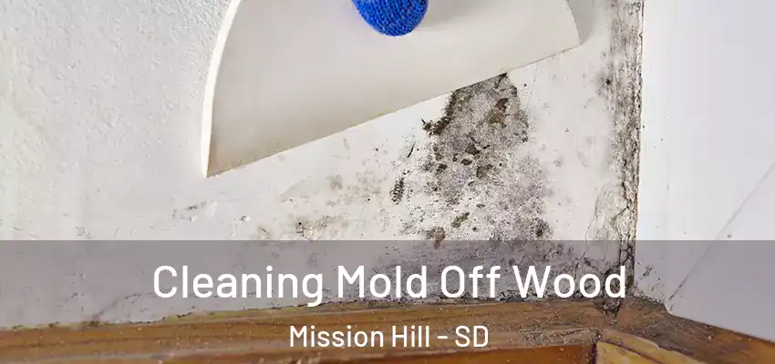 Cleaning Mold Off Wood Mission Hill - SD